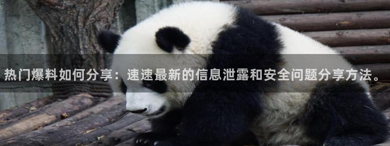 “黑料今：热门爆料如何分享：速速最新的信息