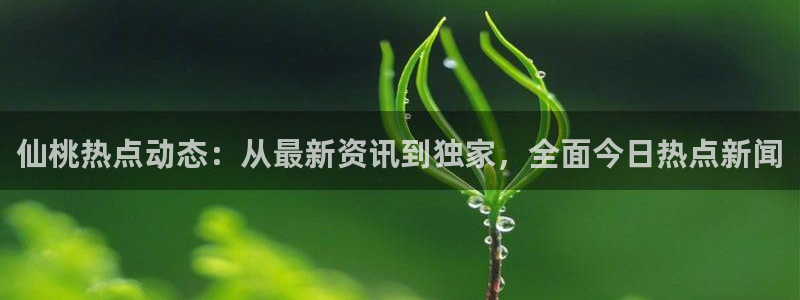 tttzzz166.su 黑料不打烊：仙桃热点动态：从最新资讯到独家，全面今日热点新闻