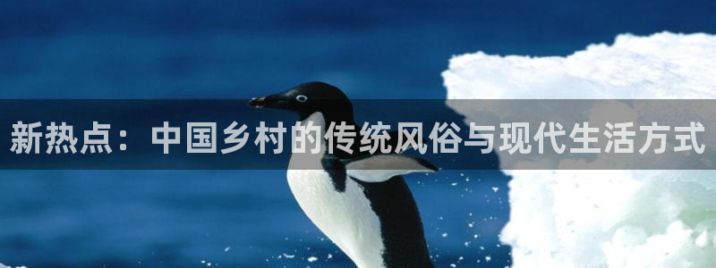 “黑料不打料：新热点：中国乡村的传统风俗与