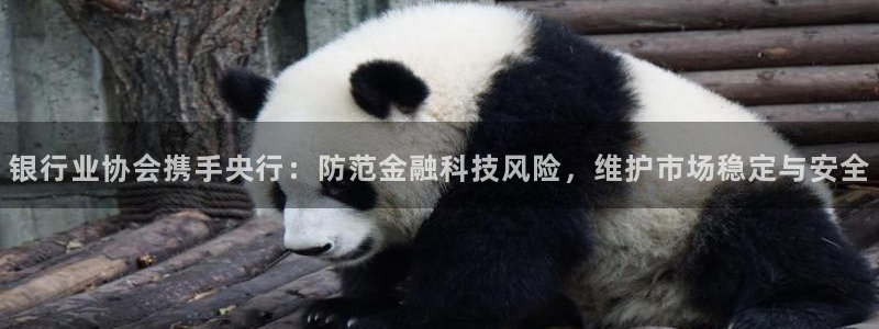 黑料不打烊w：银行业协会携手央行：防范金融科技风险，维护市场稳定与安全