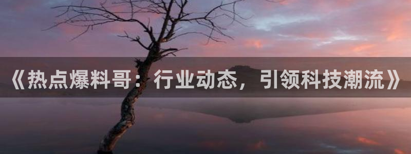 “白梦妍黑料：《热点爆料哥：行业动态，引领