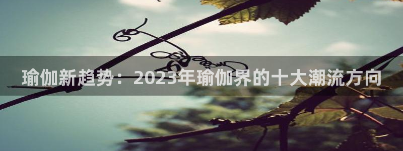 “hlw155.ccm黑料正能量：瑜伽新趋