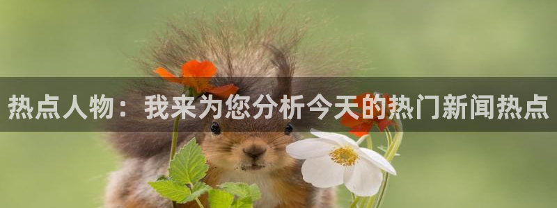 “网红黑料网站：热点人物：我来为您分析今天