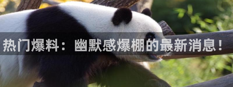 “那吾克热黑料：热门爆料：幽默感爆棚的最新