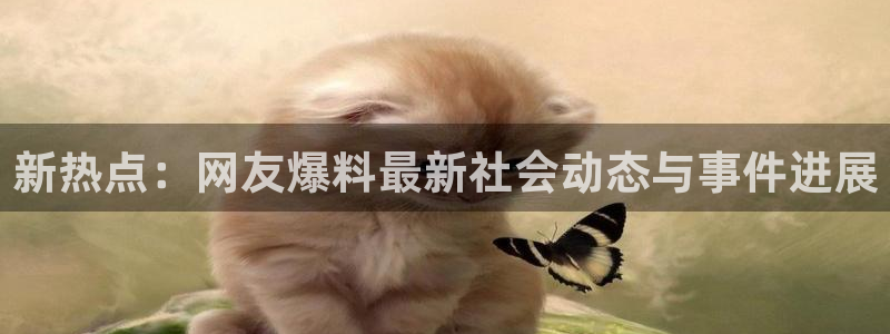 宋昱欣黑料：新热点：网友爆料最新社会动态与事件进展