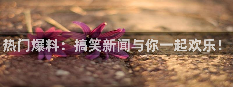 “黑料网视频在线观看：热门爆料：搞笑新闻与