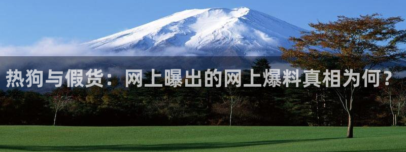 “51黑料网一区二区：热狗与假货：网上曝出