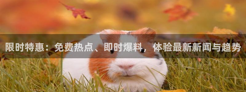 宁泽涛黑料：限时特惠：免费热点、即时爆料